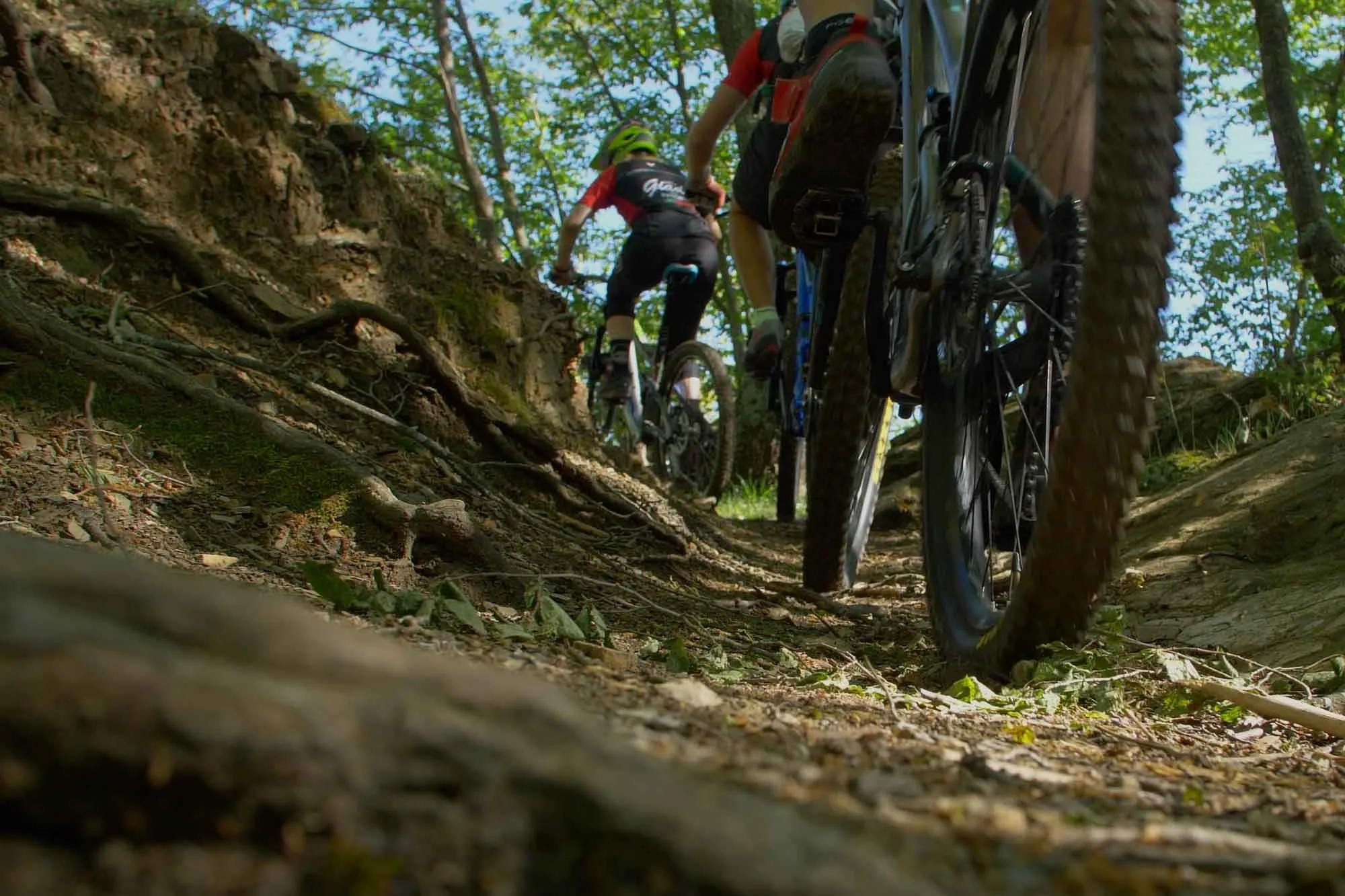 MTB