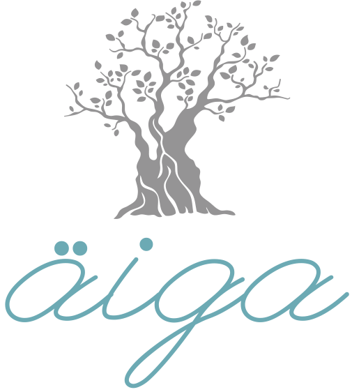Logo Aiga