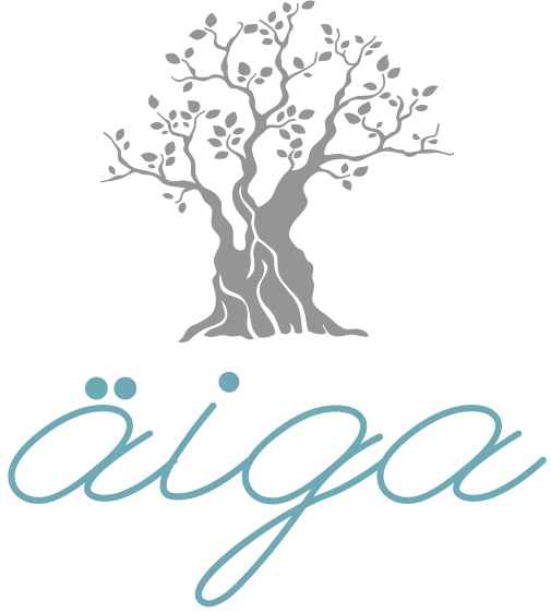 Logo de l'AIGA