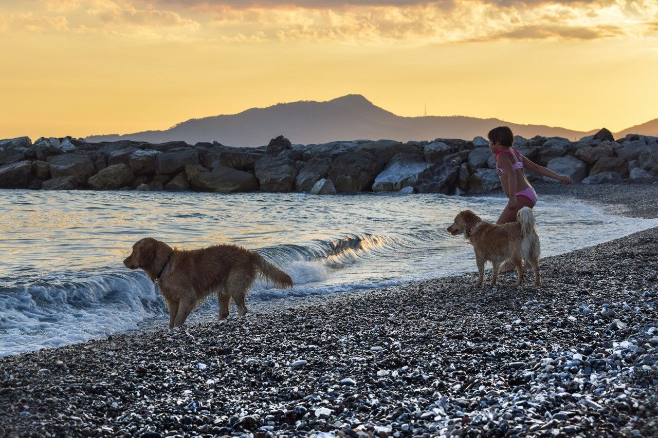Urlaub mit Hund am Meer in Italien planen